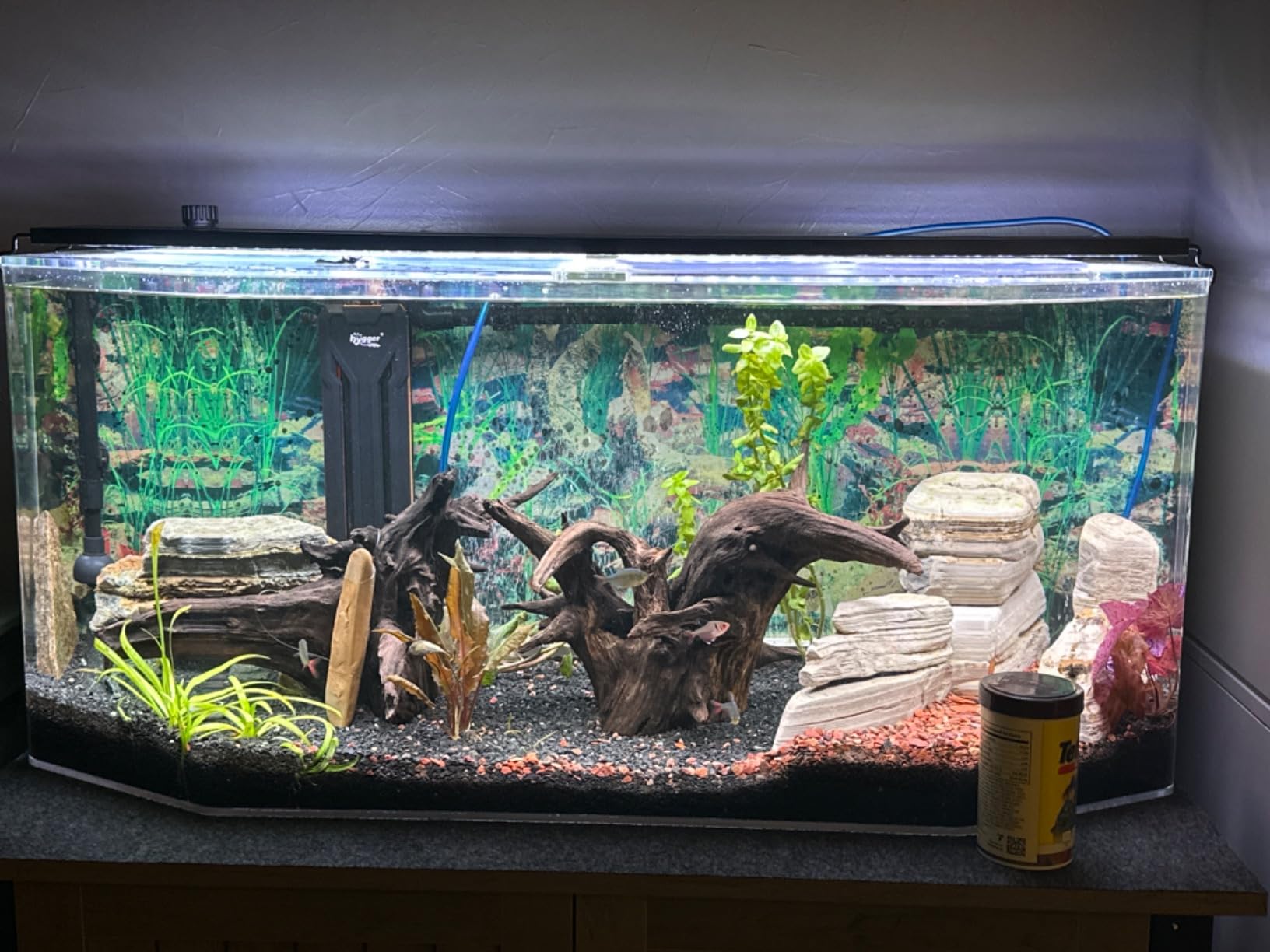 hygger Aquarium Heater 300W/500W/800W/1000W, Submersible Fish Tank Heater customer photo 1