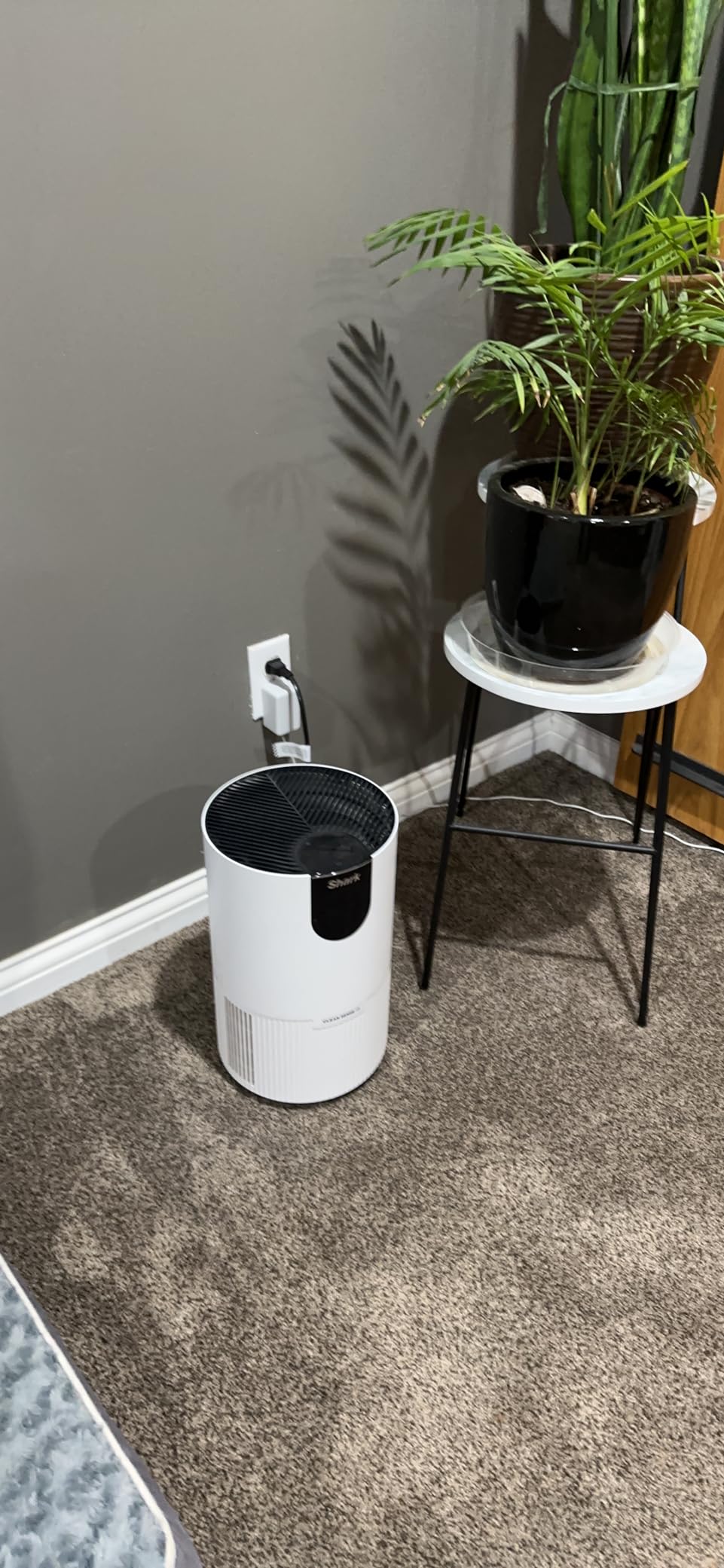 Shark Clean Sense Air Purifier with Pet Filter, HP102PET, White customer photo 1
