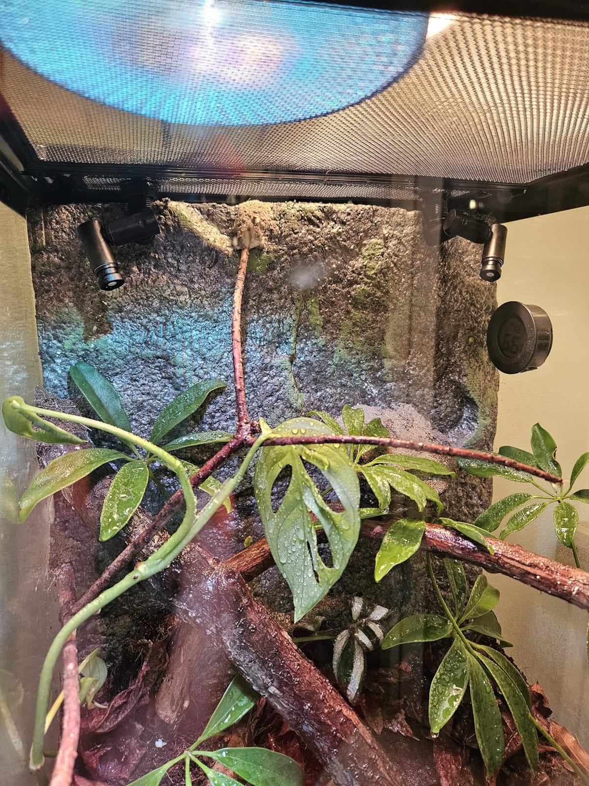 Reptile Misting System with Timer customer photo 1