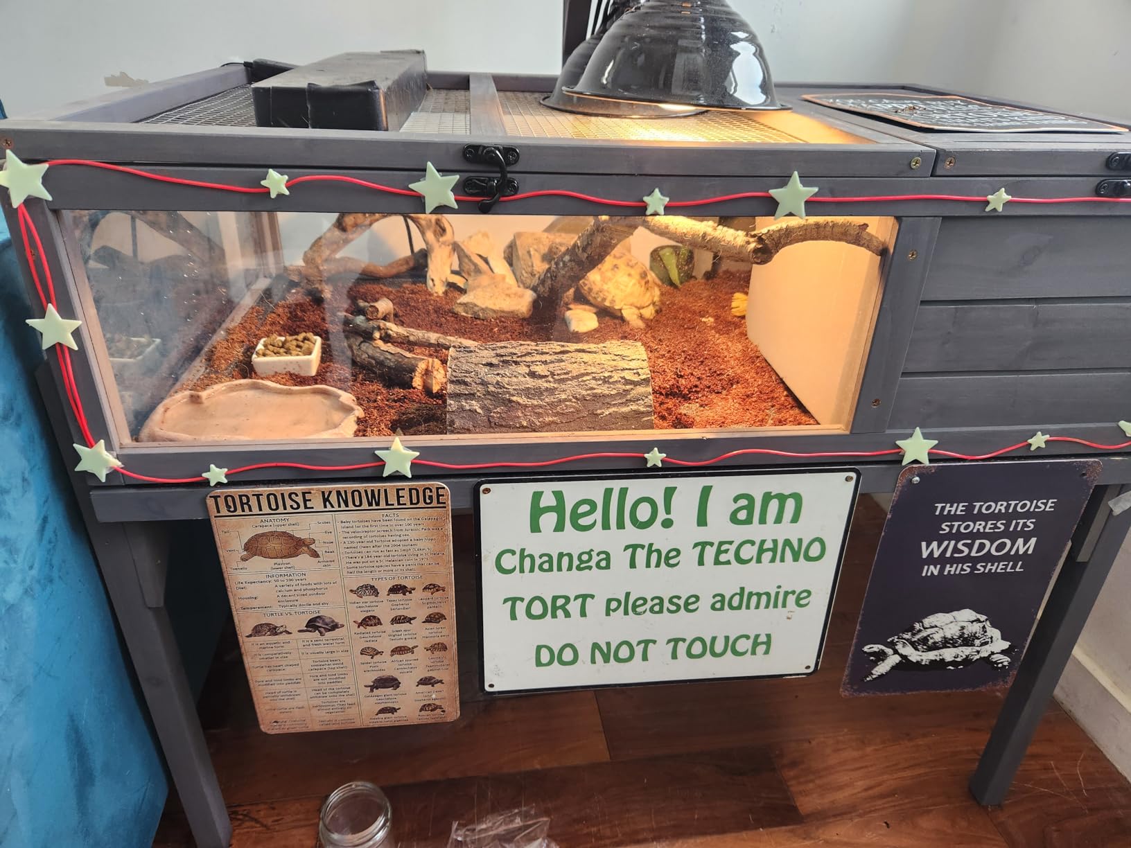 GEGURI Tortoise Habitat Indoor & Outdoor, Wooden Tortoise House with Detachable Legs, Reptile Cage for Small Animals customer photo 1