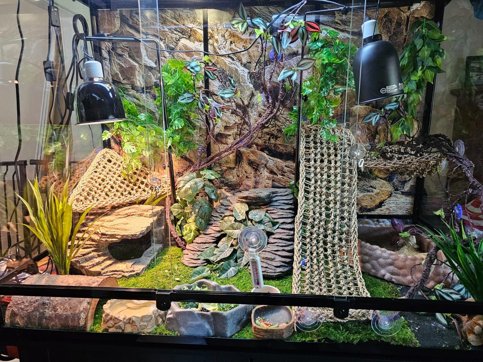 30 Gallon Reptile Tank 18