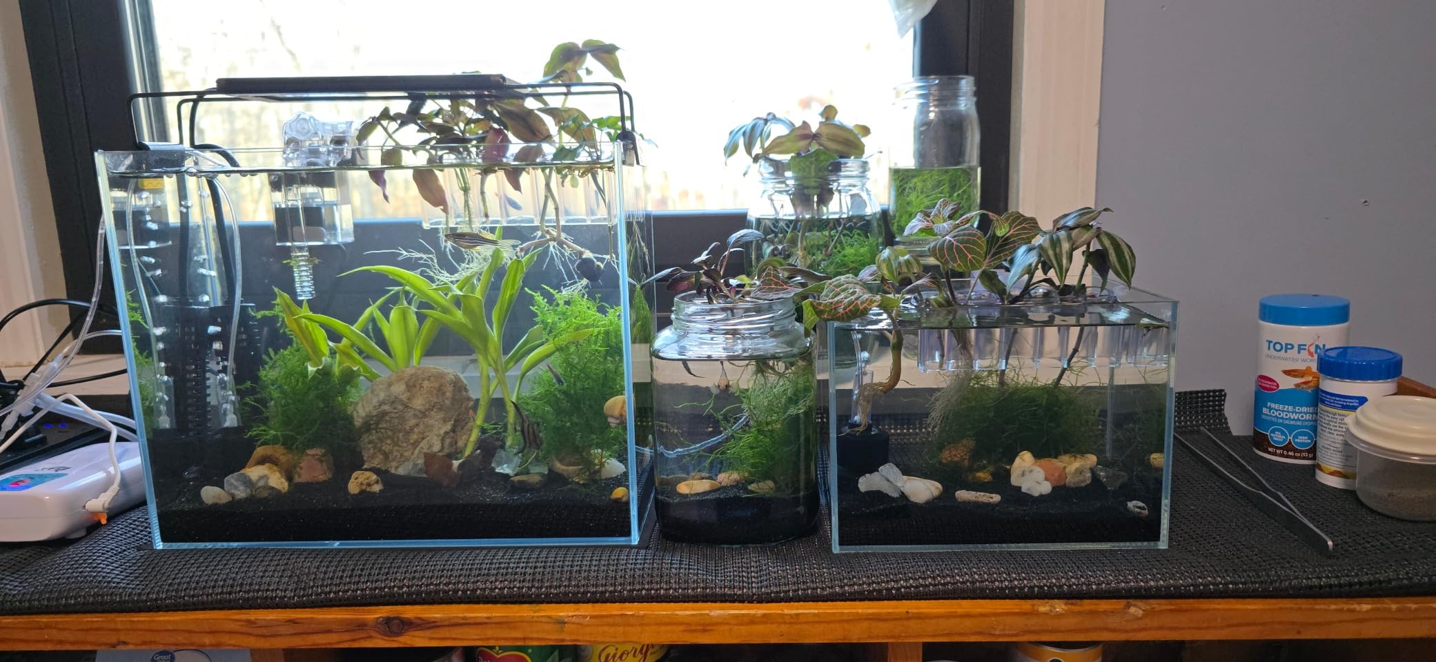 AWXZOM Small Nano Tall Rimless Tank, Glass Fish Tank, Betta Tank (0.7 Gallon, 5.9x4.3x5.1in/15x11x13cm) customer photo 2