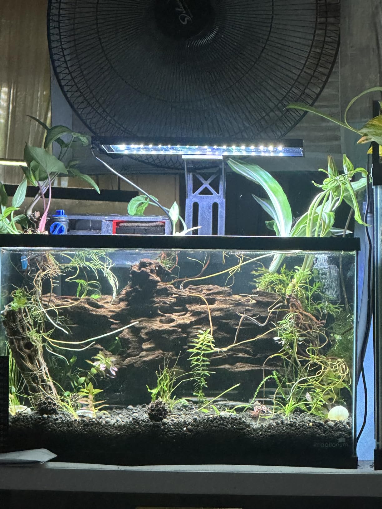 SEAOURA Clip On Aquarium Light for Plants-24/7 Fish Tank Light, 12-20 Inch customer photo 1