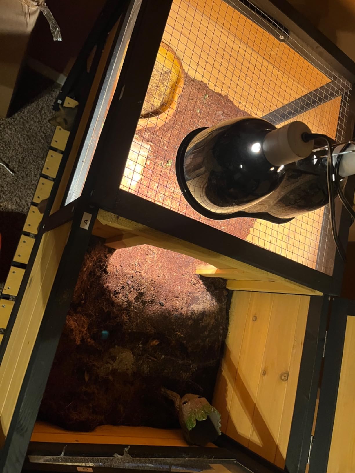 PawHut Tortoise Habitat with Shelf Storage, Tortoise Enclosure with Weather Protection, Reptile Enclosure with Tray, Light Support Frame, Yellow customer photo 1