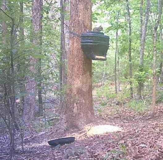 Moultrie Feed Bin - Gravity-Fed Wildlife Feeder customer photo 1