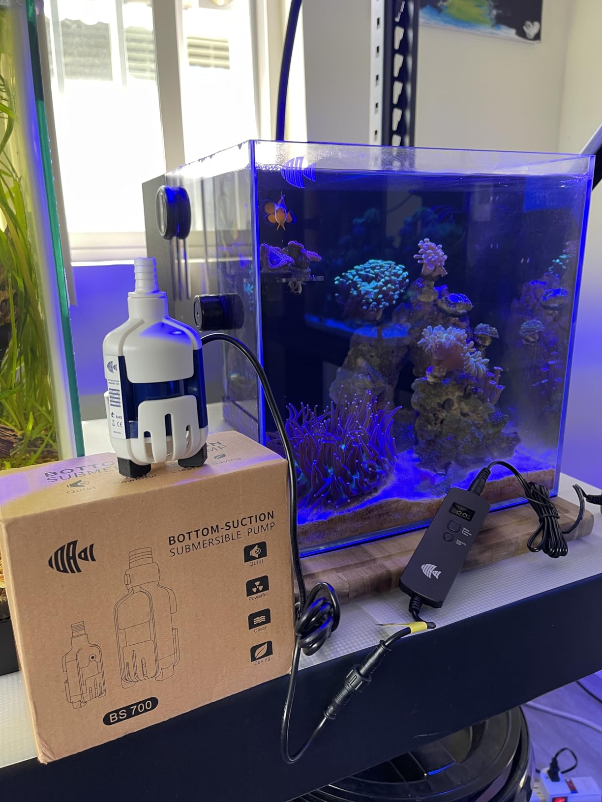 Nano Return Pump for Saltwater Aquarium Sump, Small Water Pump, DC 12V with Controller, 185GPH (700L/H), 9 Watts, Indoor Use customer photo 1