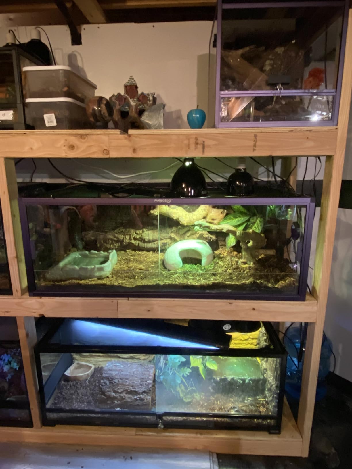 Reptile Misting System with Timer, 6 Nozzles, Self-Priming Pump, Fine Mist customer photo 1