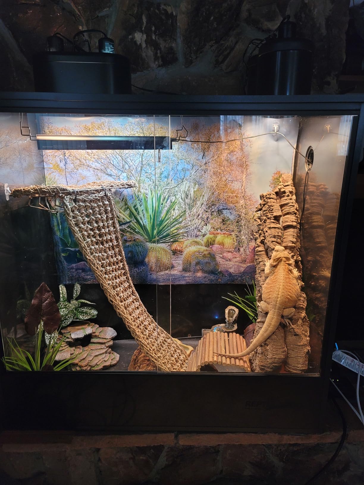 REPTI ZOO 67 Gallon PVC Tall Reptile Tank, 24 x18x36 inch Large Reptile Terrarium for Gecko Lizard Chameleon Frog Snake, Enclosure Habitat with Sliding Door & Top Screen Ventilation customer photo 2