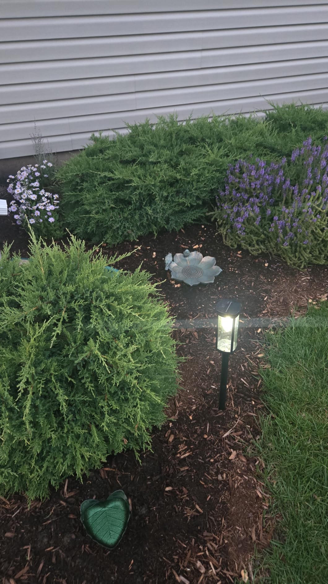 NEWMESSI Solar Lights Outdoor Waterproof, 8 Pack, Warm White, 3 Heights customer photo 2