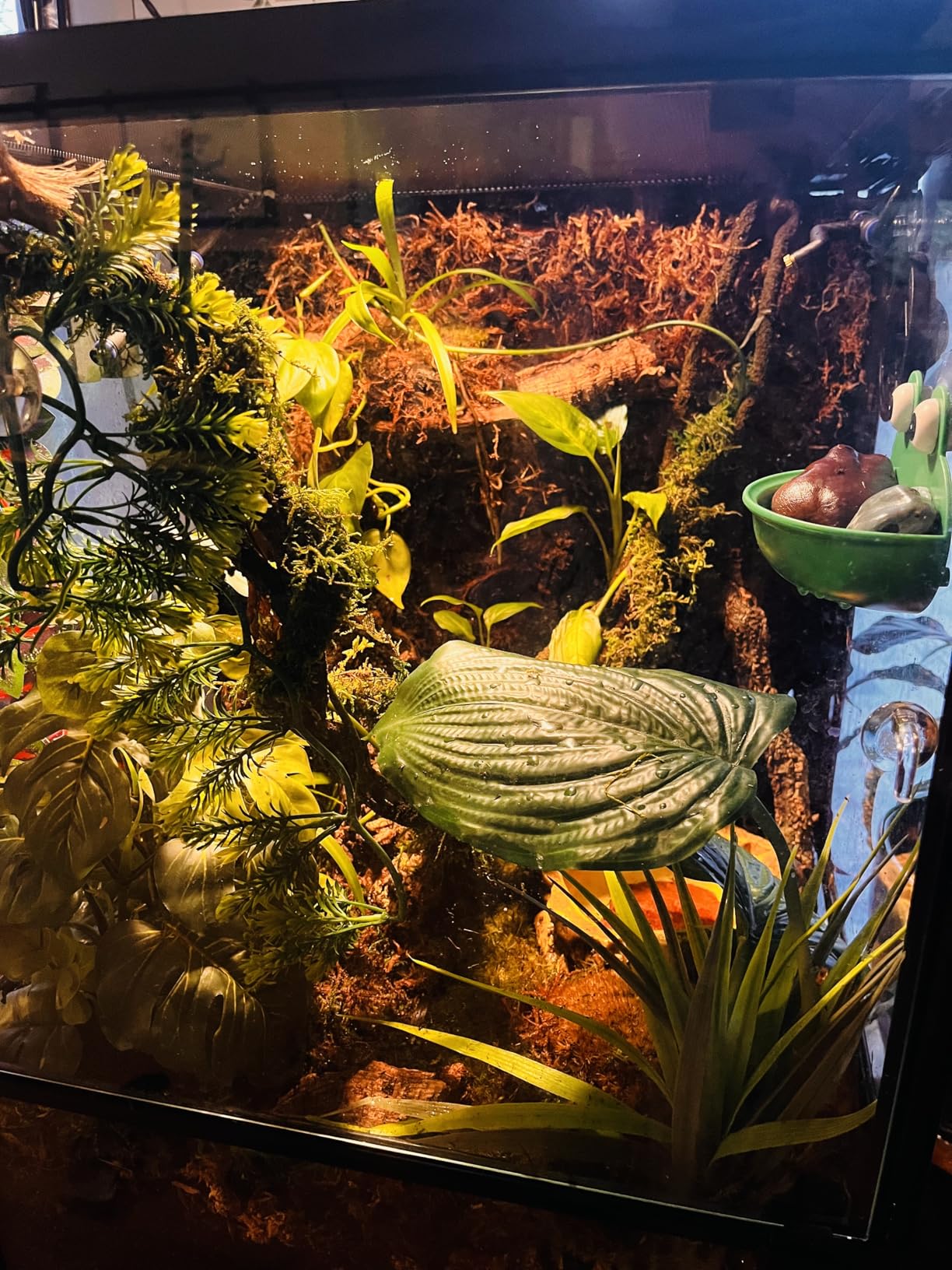 REPTI ZOO 30 Gallon Reptile Glass Terrarium, 18
