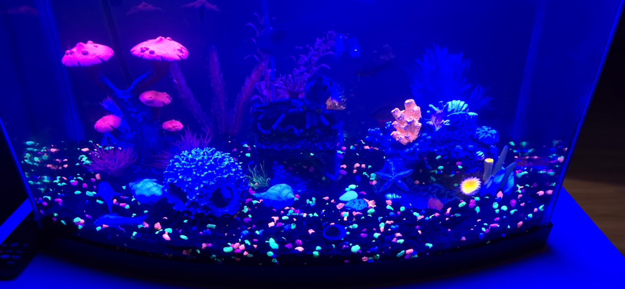 AQQA LED Aquarium Light, 24/7 & DIY Mode Full Spectrum Fish Tank Light customer photo 2