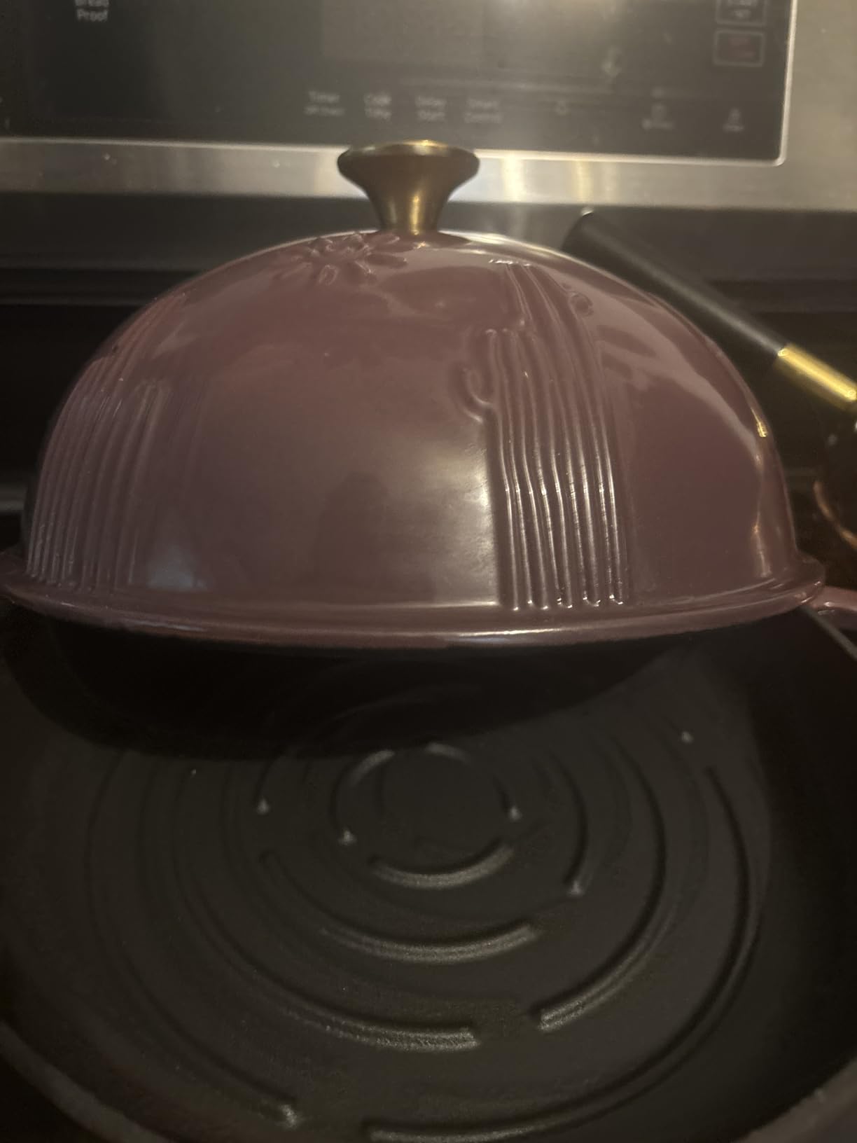 Flavehc Bread Oven Cast Iron Bread Dutch Oven with Cloche Lid for Bread Baking Darkcyan Enameled Cast Iron Bread Oven with Dome Lid for Sourdough, 9.8 Inches customer photo 1