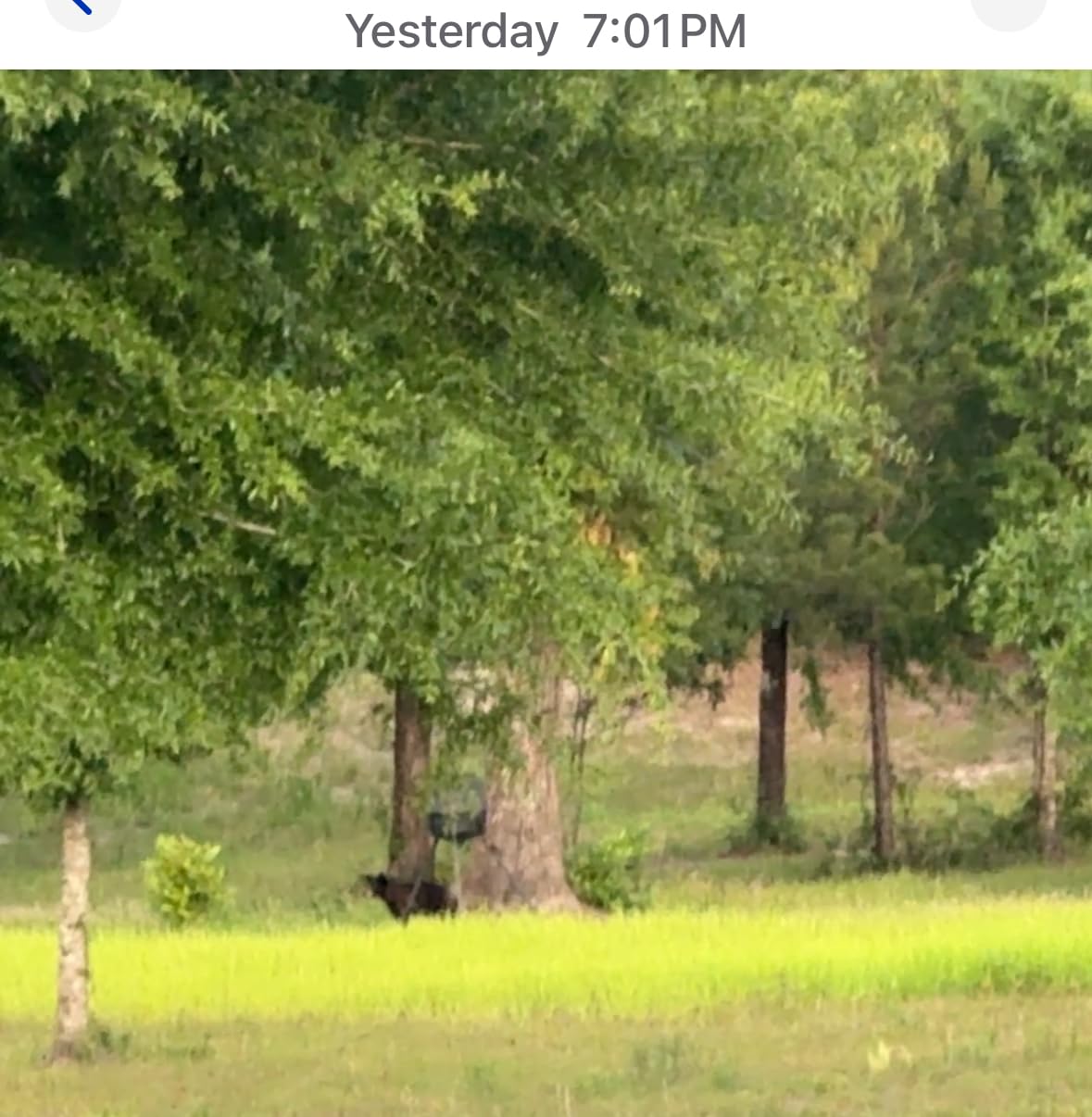 TACTACAM Reveal X Gen 3.0 Cellular Trail Camera - Multi Carrier, HD Photos & Videos, Pre-Installed Antenna, Built-in GPS, Best Battery Life, Low-Glow, Fast Trigger Speed + Cleaning Cloth | 2PK customer photo 2