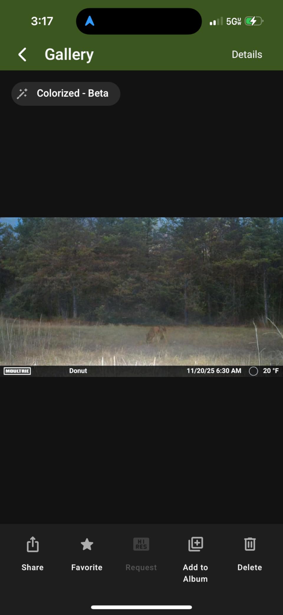 Moultrie Edge 2 Cellular Trail Camera customer photo 1