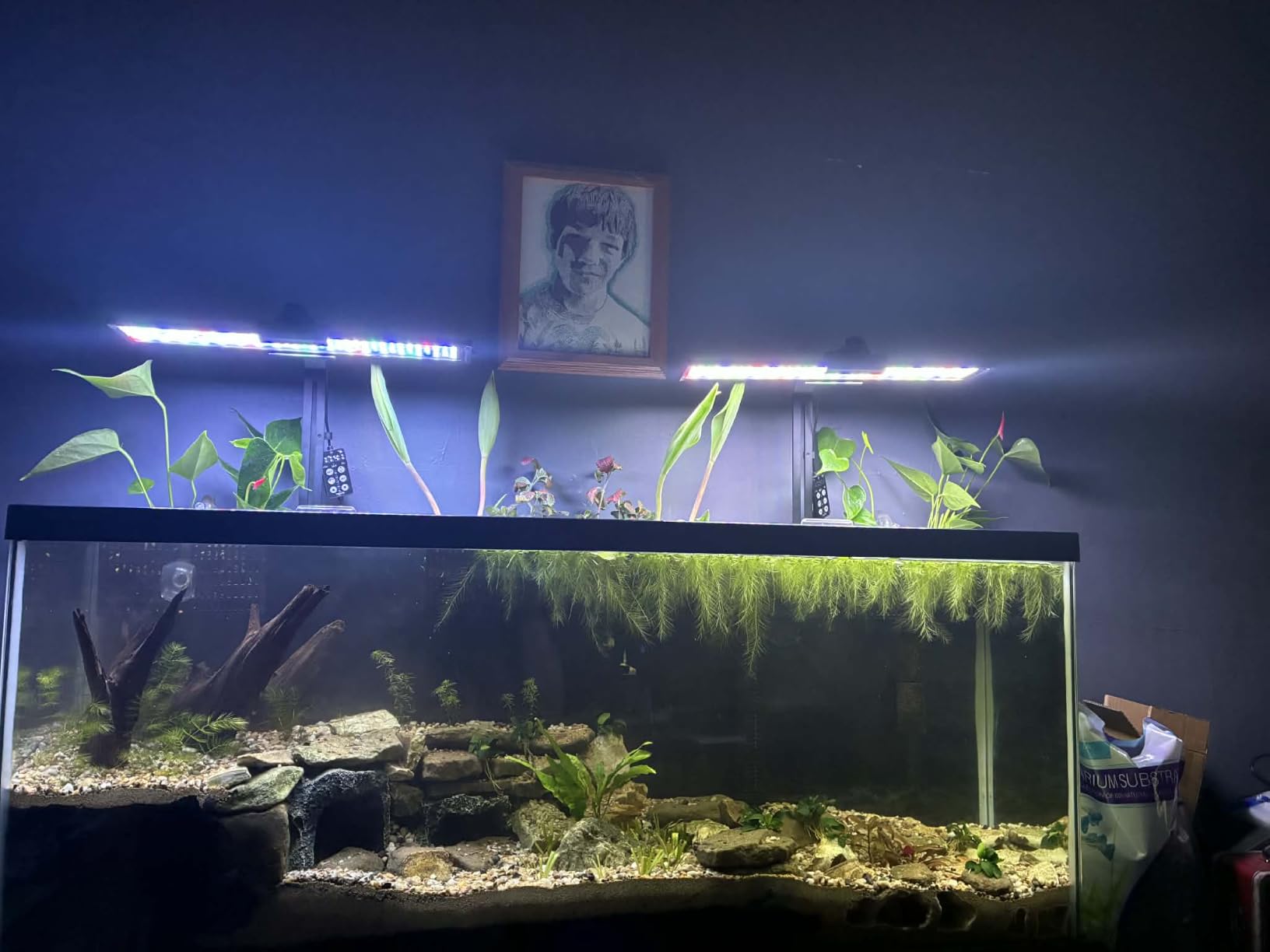 SEAOURA Aquarium Planted Light with 24/7 Timer for 48-54in Fish Tank customer photo 1