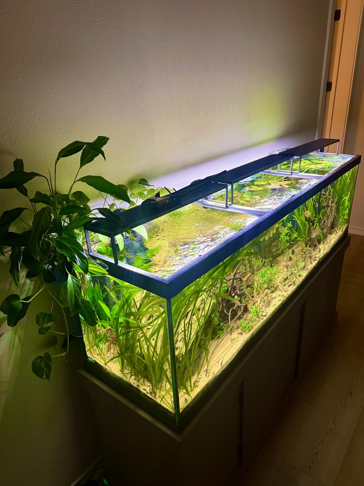FZONE Aquarium Light 60W LED Plant Light for 35-43