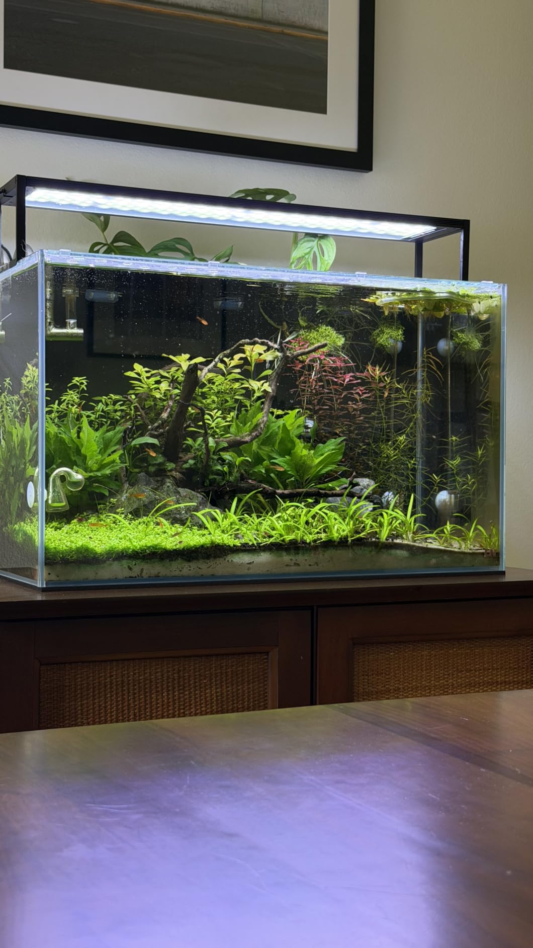 FZONE Aquarium Light 60W LED Plant Light for 35-43