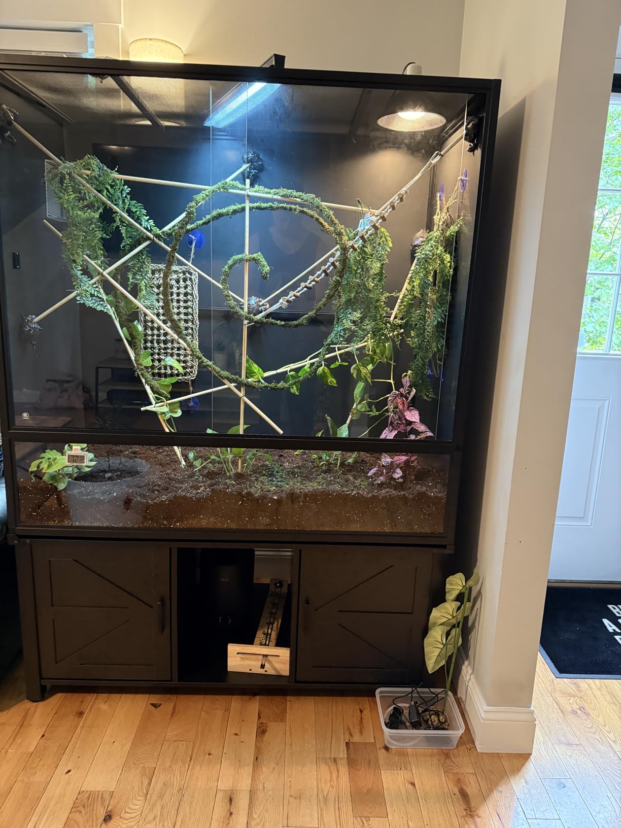 Reptile Tank 230 Gallon, 48