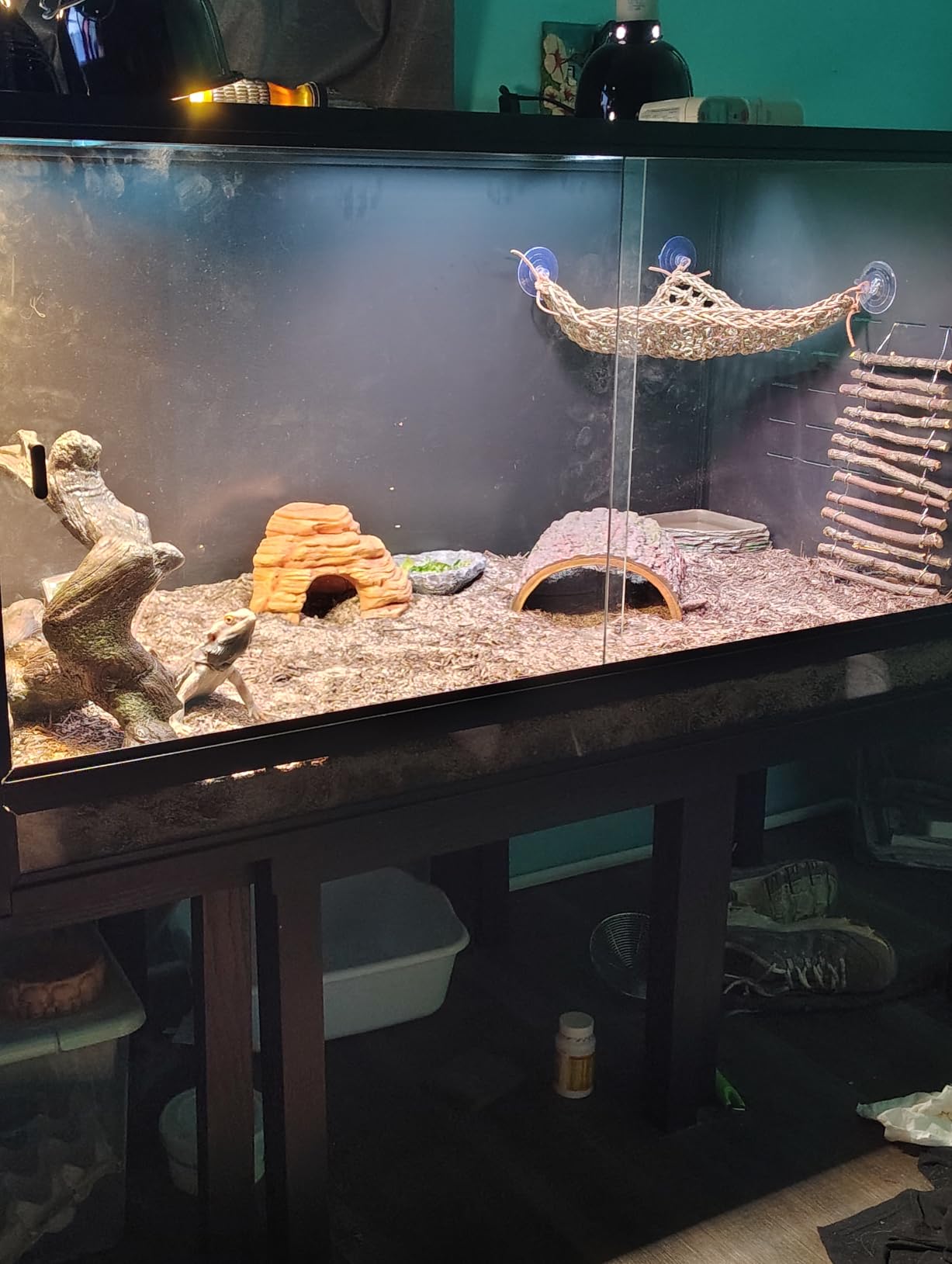 Reptile Tank 44''x20''x20'' ToxiRium Large PVC Reptile Enclosure 76 Gallons for Bearded Dragon Gecko Lizard Snake, Wide Lounge Vivarium Area with Sliding Doors Lock customer photo 1