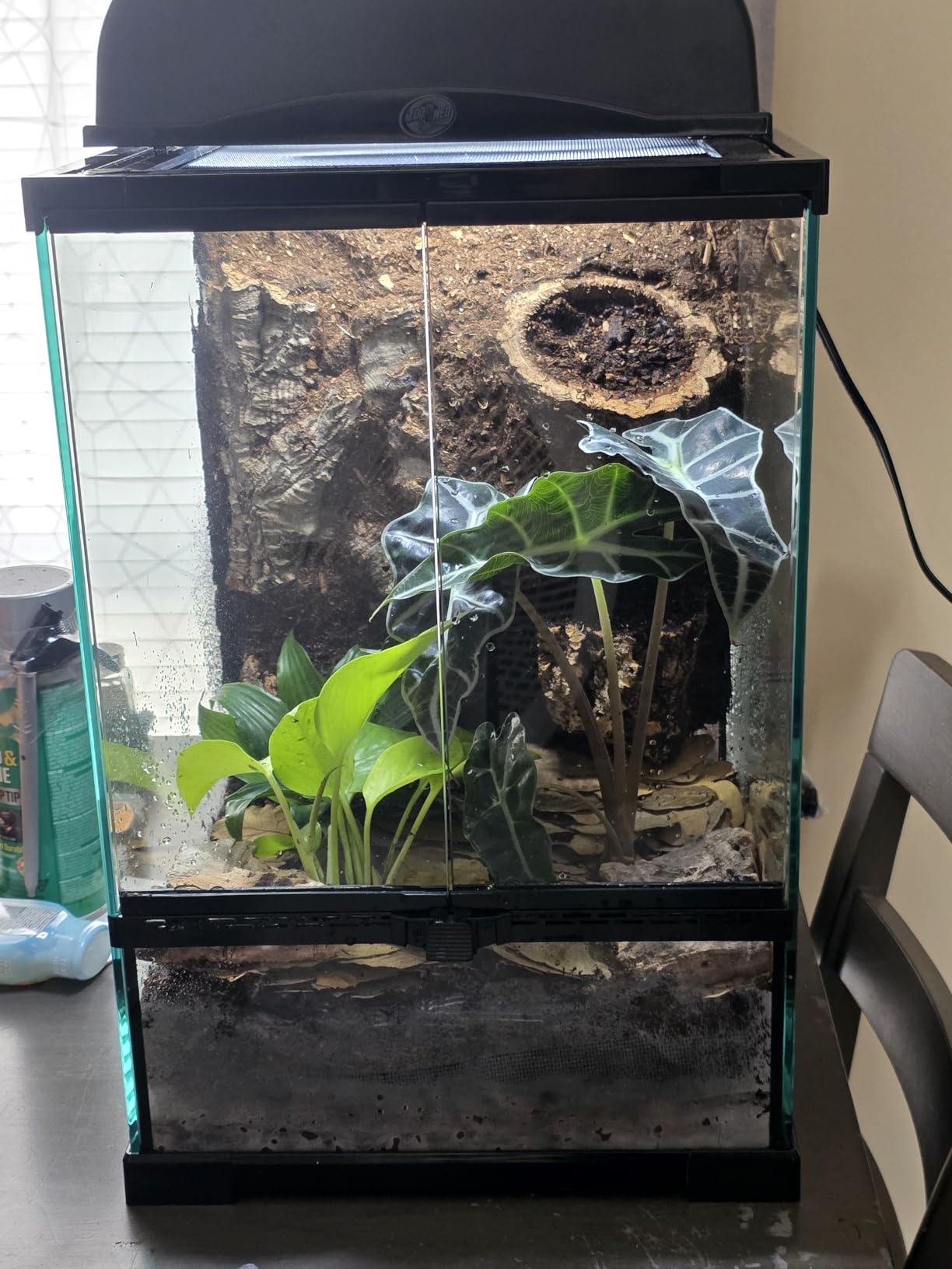 11 Gallon Tall Reptile Glass Tank 12