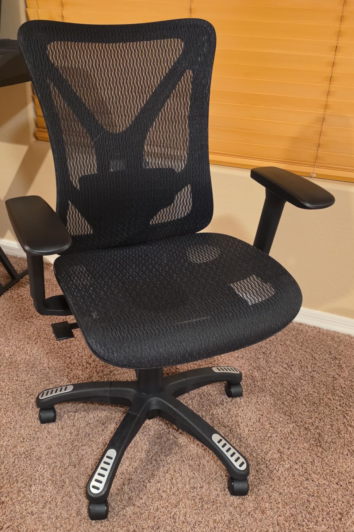 Ergonomic Office Chair, Mesh Computer Desk Chairs with BIFMA X5.1 Certified, Adjustable Lumbar Support, 3D Arm, Tilt Back, Wide Seat, Comfy Swivel Work Task Chair for Company and Home (Obsidian Black) customer photo 1