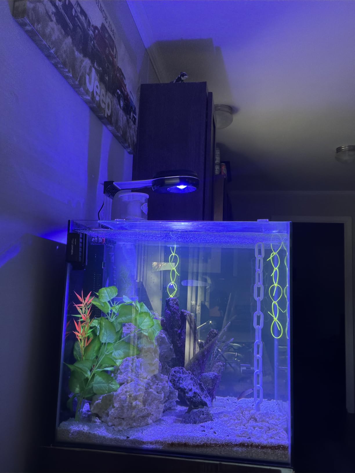 PopBloom RL60 WiFi Reef LED Light, 60W Full Spectrum Marine Reef LED Aquarium Lighting for Soft/LPS Corals & Saltwater Fish Nano Tanks, Built-in Timer, WiFi Phone Programmable, Sunrise Sunset customer photo 1