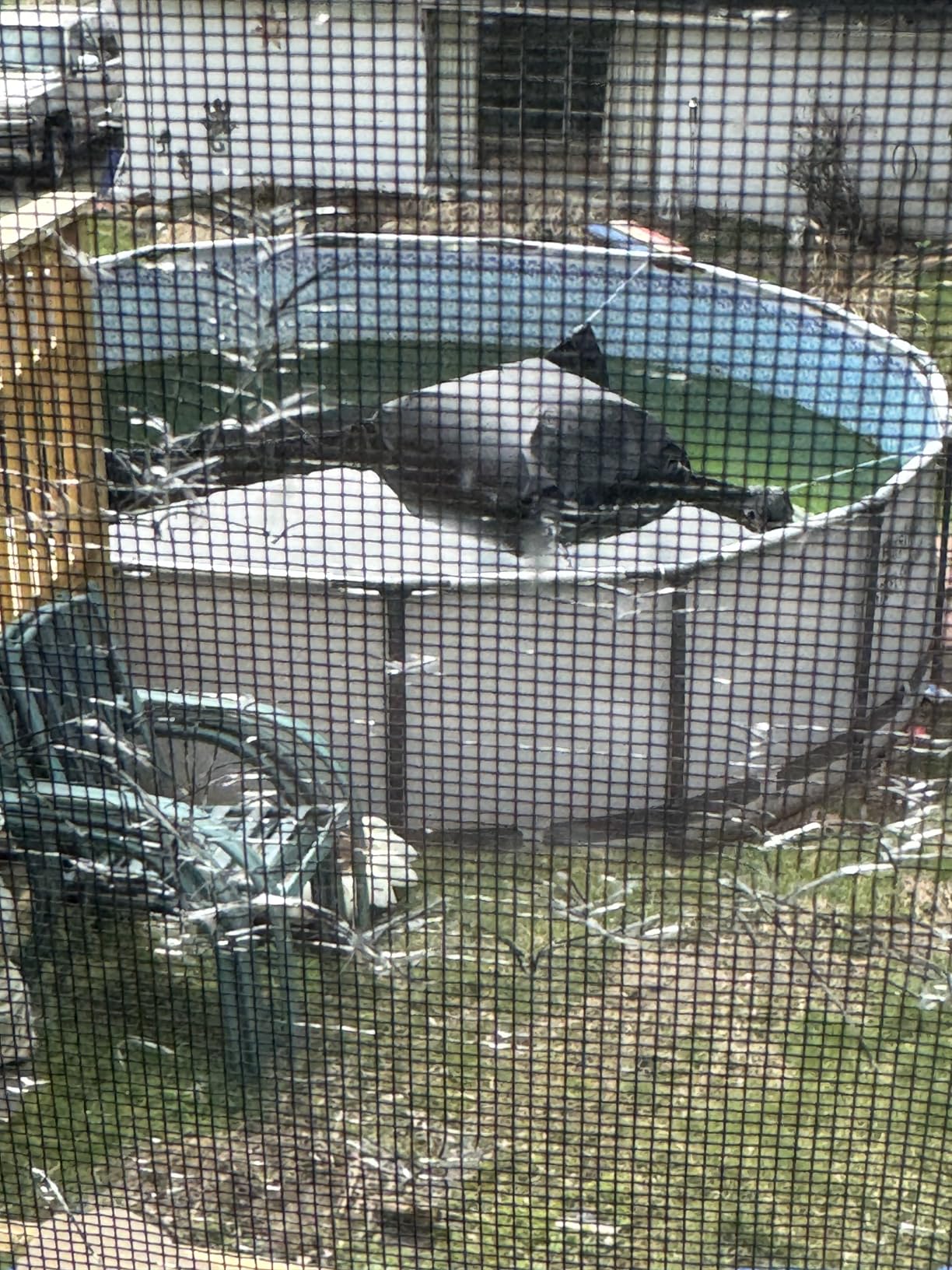 SIHAIAN 16 Ft Round Pool Cover, with Automatic Drain Pool Cover, Patented One-Piece Tensioning System Above Ground Pool Cover, Preventing Waterlogging, Yarn-Dyed Oxford Fabric Solar Pool Cover customer photo 1