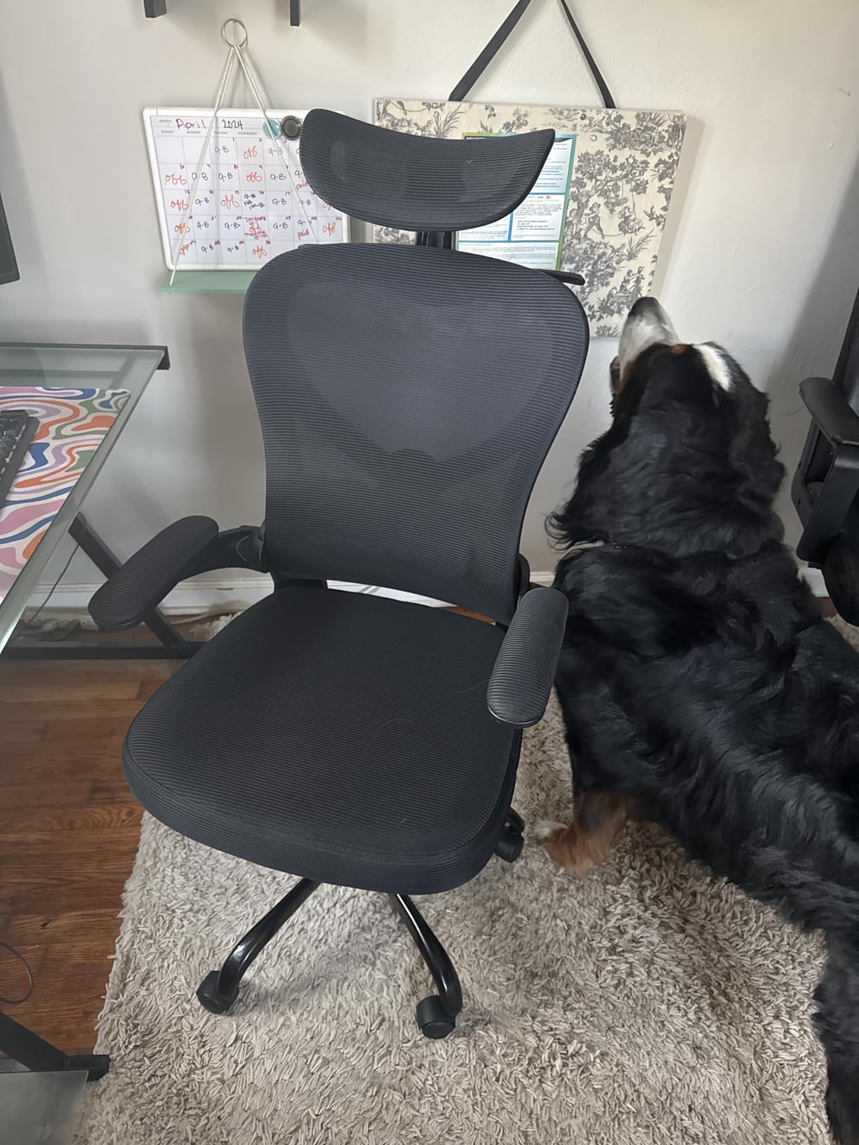 Ergonomic Office Chair, Mesh Home Office Desk Chairs with 3D Headrest customer photo 2