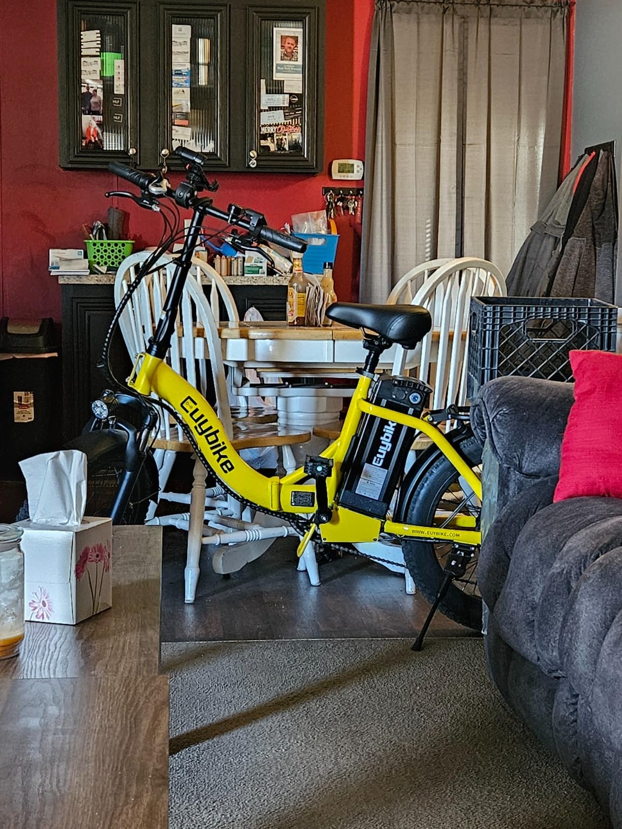 EUYBIKE Electric Bike for Adults, 20