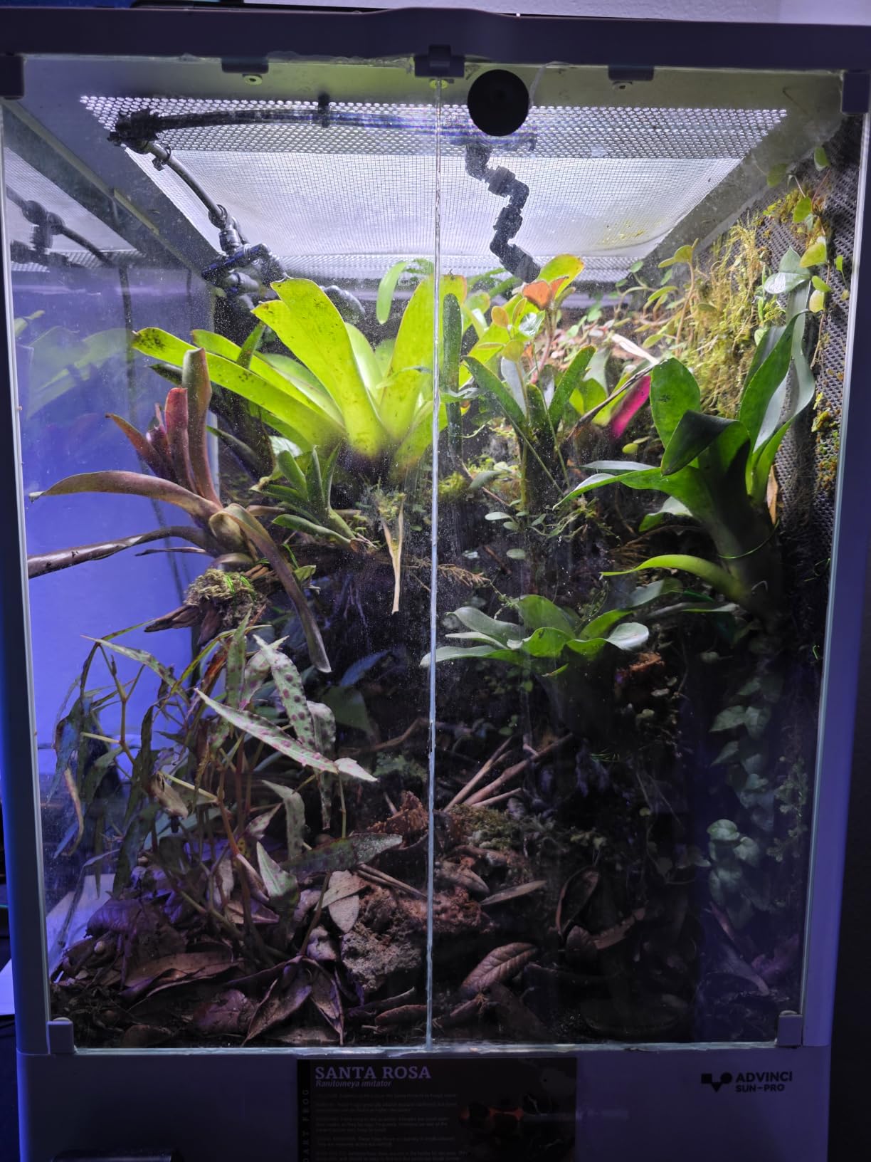 Reptile Terrarium 12