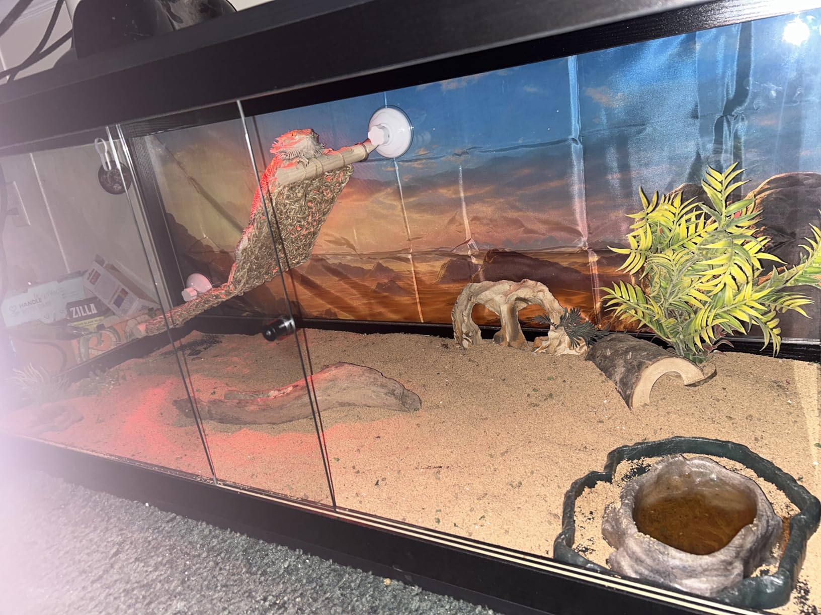 PROLEE 82 Gallon Bearded Dragon Tank, 48 x 20 x 20 Inch Tempered Glass Reptile Enclosure with Metal Mesh Top, Lockable Sliding Front Doors, Large Lizard and Snake Terrarium, Black customer photo 2