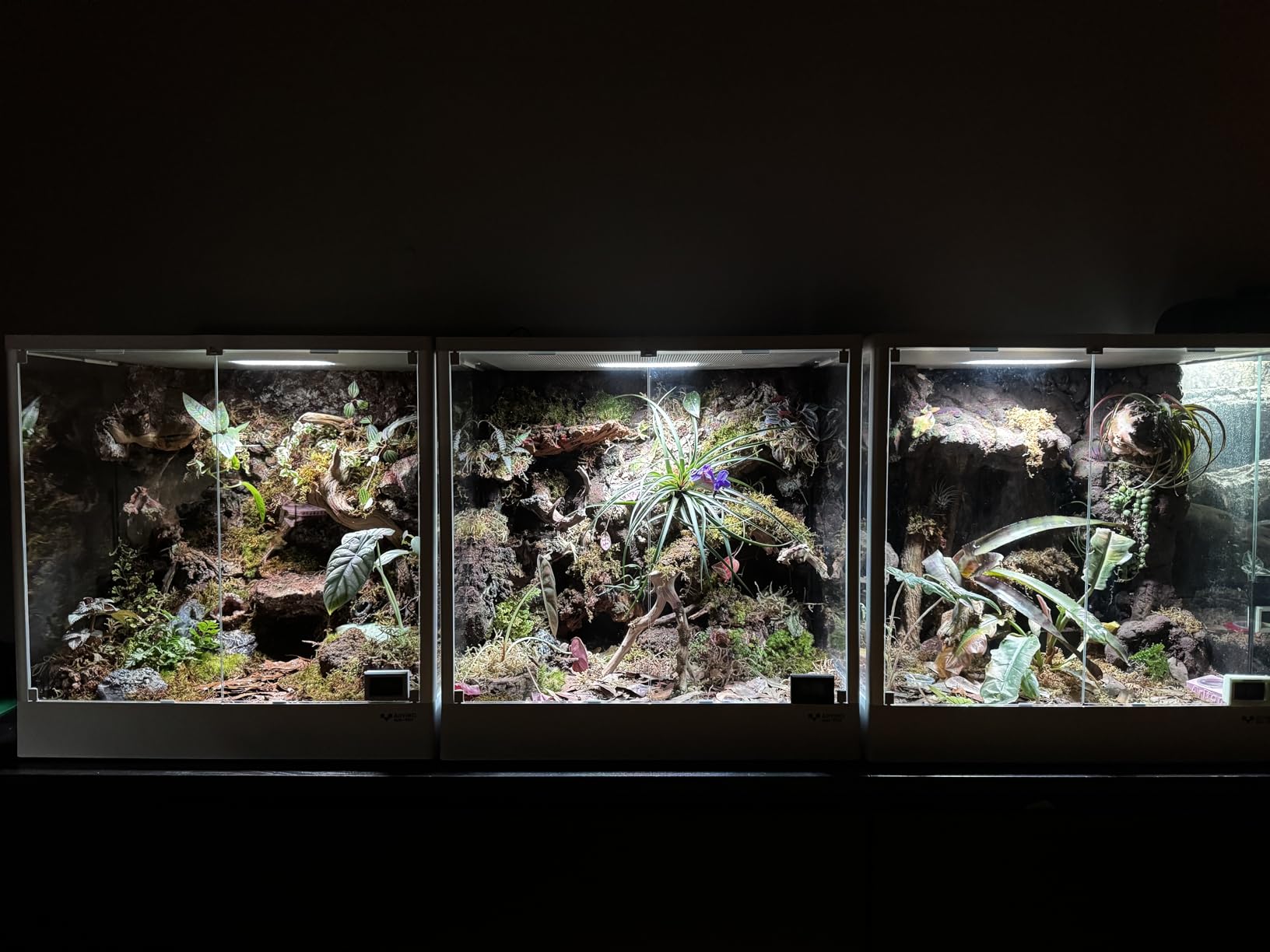 Reptile Terrarium 18
