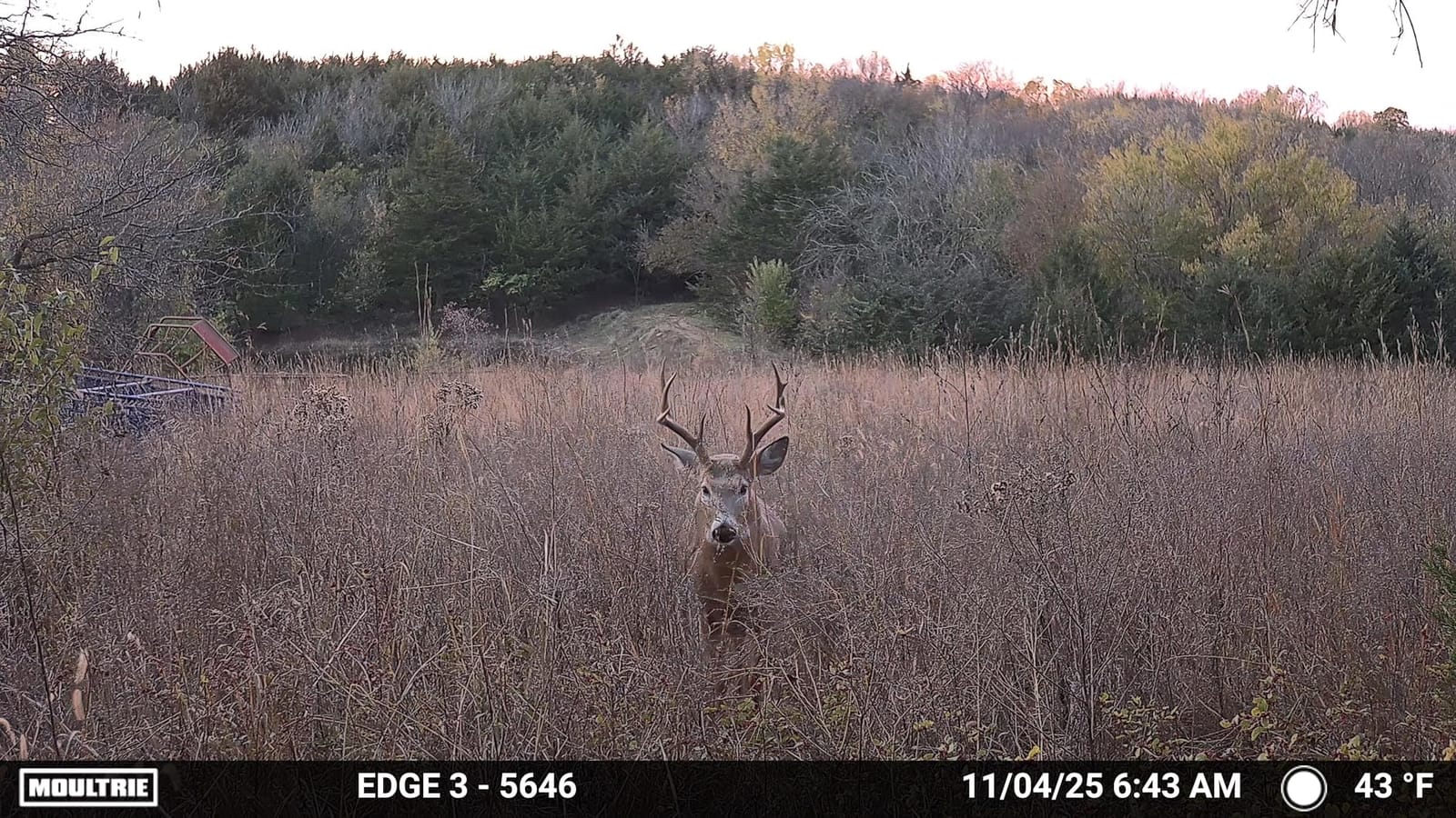 Moultrie Edge 3 Cellular Trail Camera - 40MP, 0.5s Trigger customer photo 1