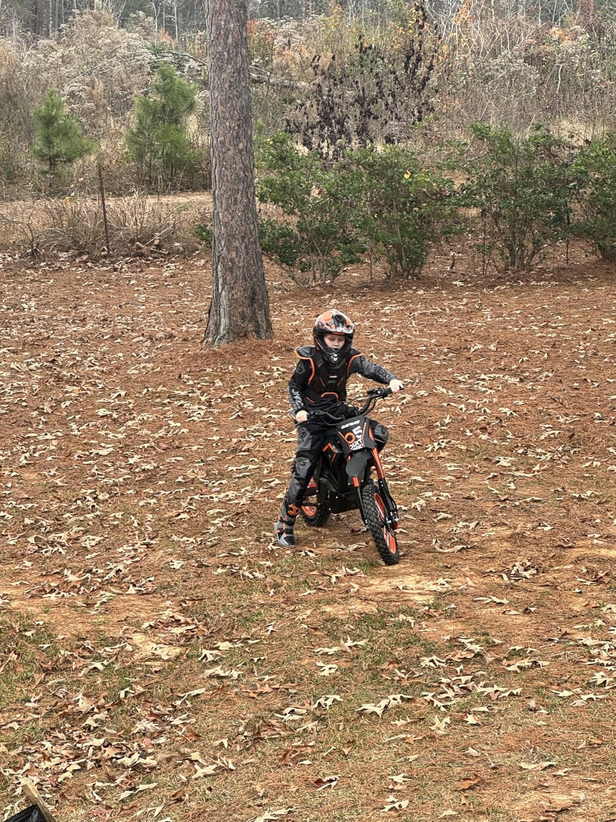 QuietEase Electric Dirt Bike for Adults Teens, 3000W Brushless 220Nm Motor - 45° slope, 38 MPH, 48V/23.4Ah Removable Battery, Dual Hydraulic Brakes & Full Suspension Electric Motorcycle For Age 13+ customer photo 1