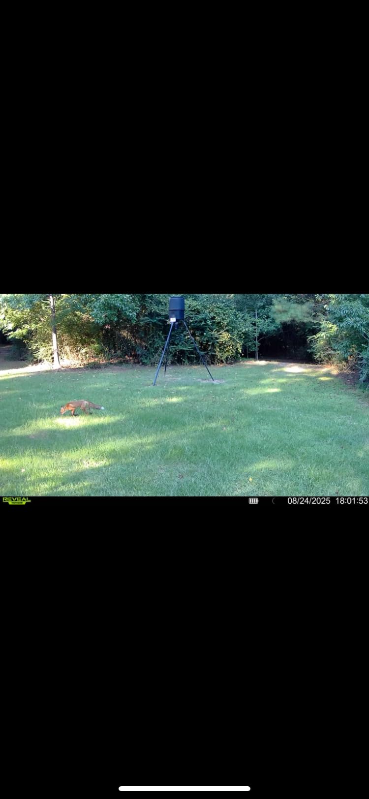 TACTACAM Reveal X 3.0 2-Pack Cellular Trail Camera customer photo 1