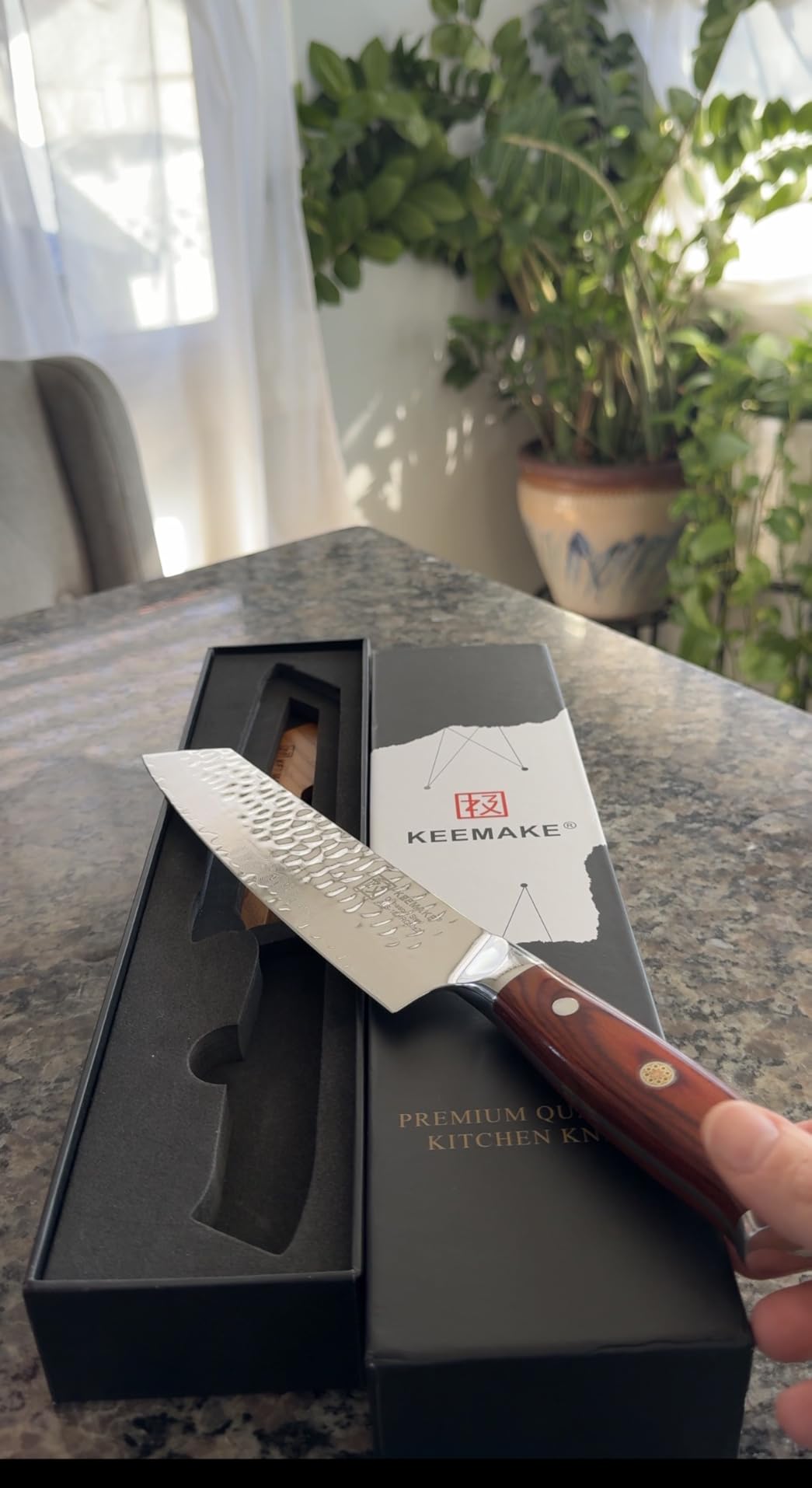 8 Inch Damascus Chef Knife, Japanese Kitchen Knife with VG10 Steel customer photo 1