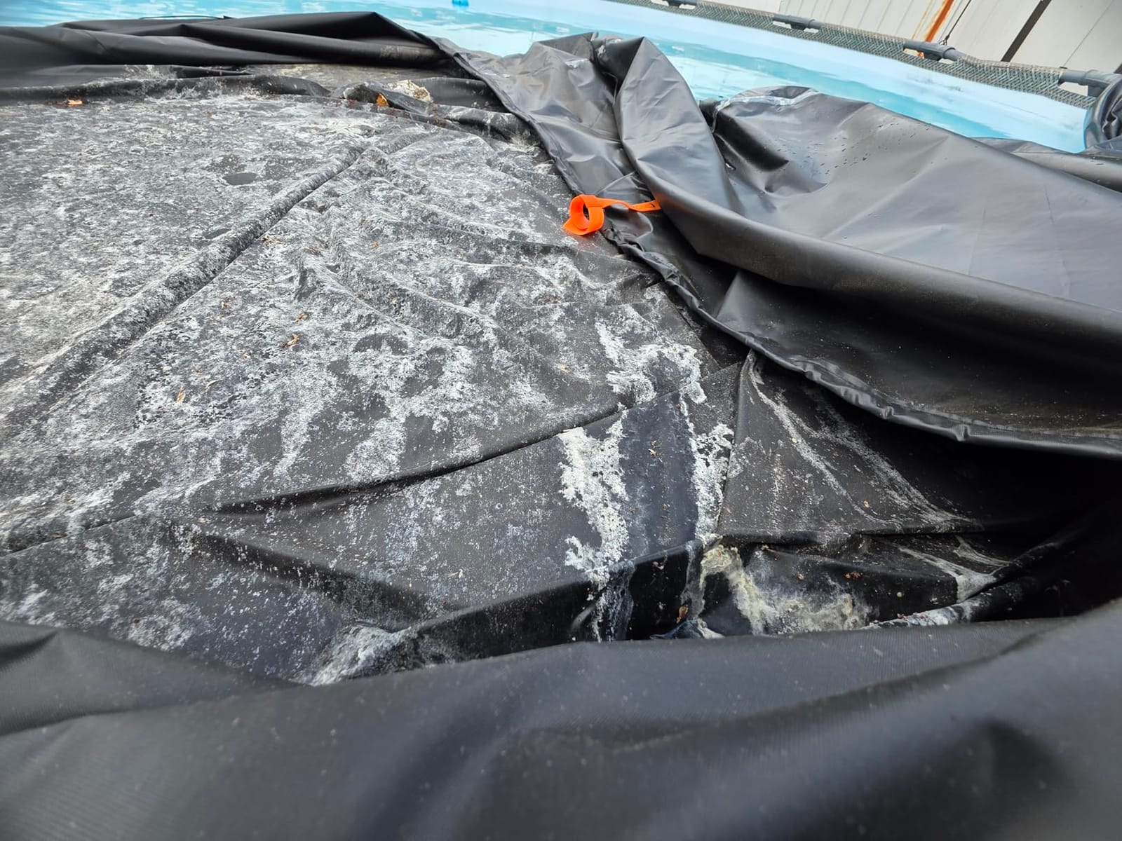 QH.HOME 550D 18 Ft Round Winter Pool Cover Tear Resistant Heavy Duty Fabric customer photo 2