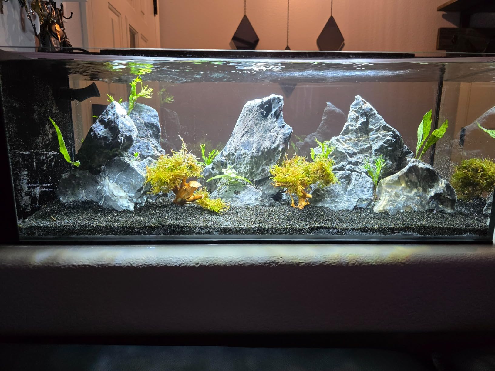 Ultum Nature Systems Dual AIO - Freshwater/Saltwater Compatible, All in One Rimless Tank with Triple Chamber Filtration System, Integrated Filter Aquarium with Leveling Mat - 6 Gallon, 45SA, Black customer photo 2