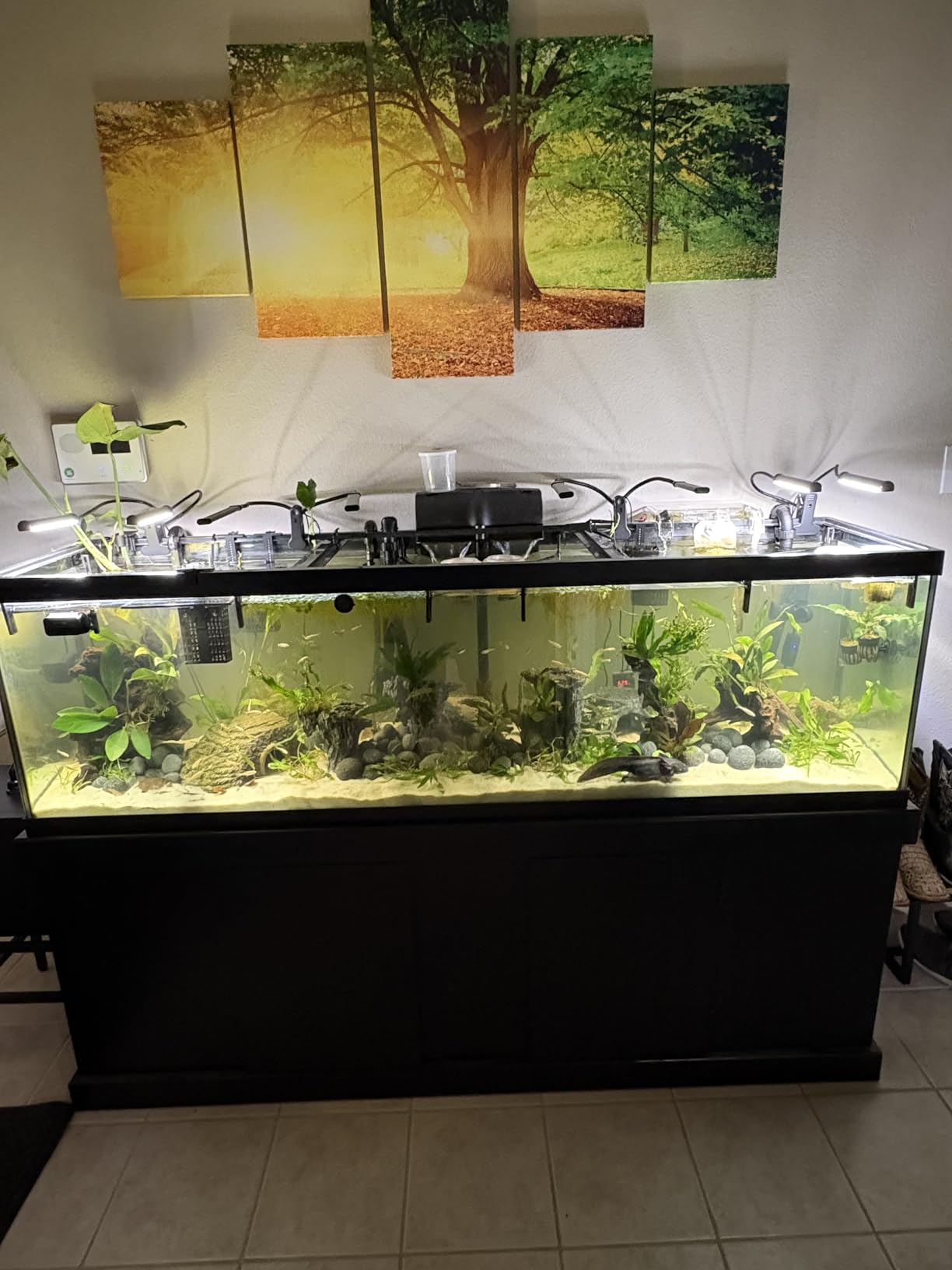 79 Gal Aquarium Chiller, 1/3 HP Fish Tank Water Chiller, Hydroponic Water Chiller with Touch Screen, Hydroponics System Axolotl Jellyfish Coral Reef 300L customer photo 2