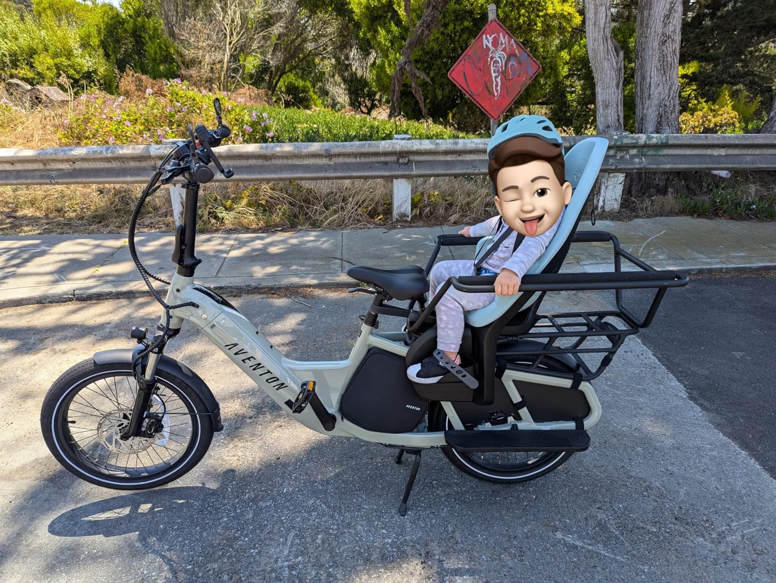 Thule Yepp 2 Mounted Child Bike seat, Adjustable footrests, 5-Point Harness and Easy to Mount Design customer photo 2