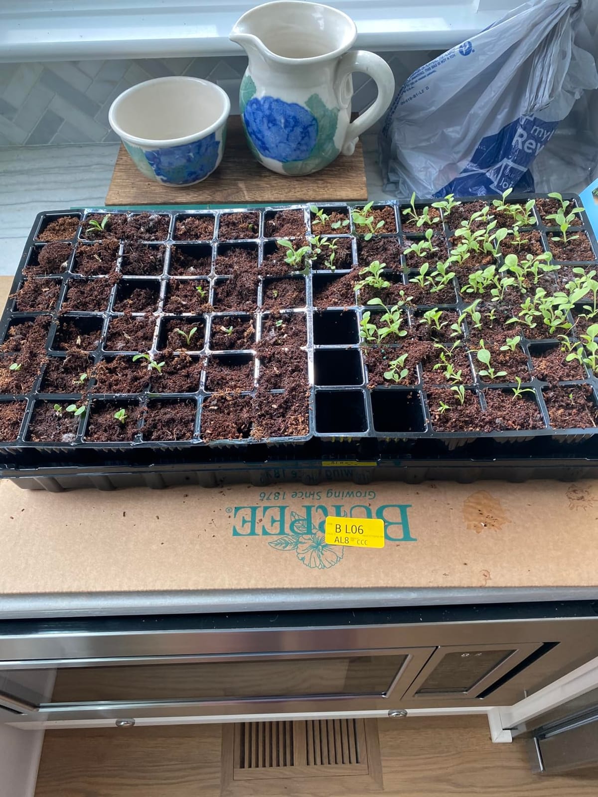 Burpee XL Self-Watering Growing System Indoor Seed Starting 10