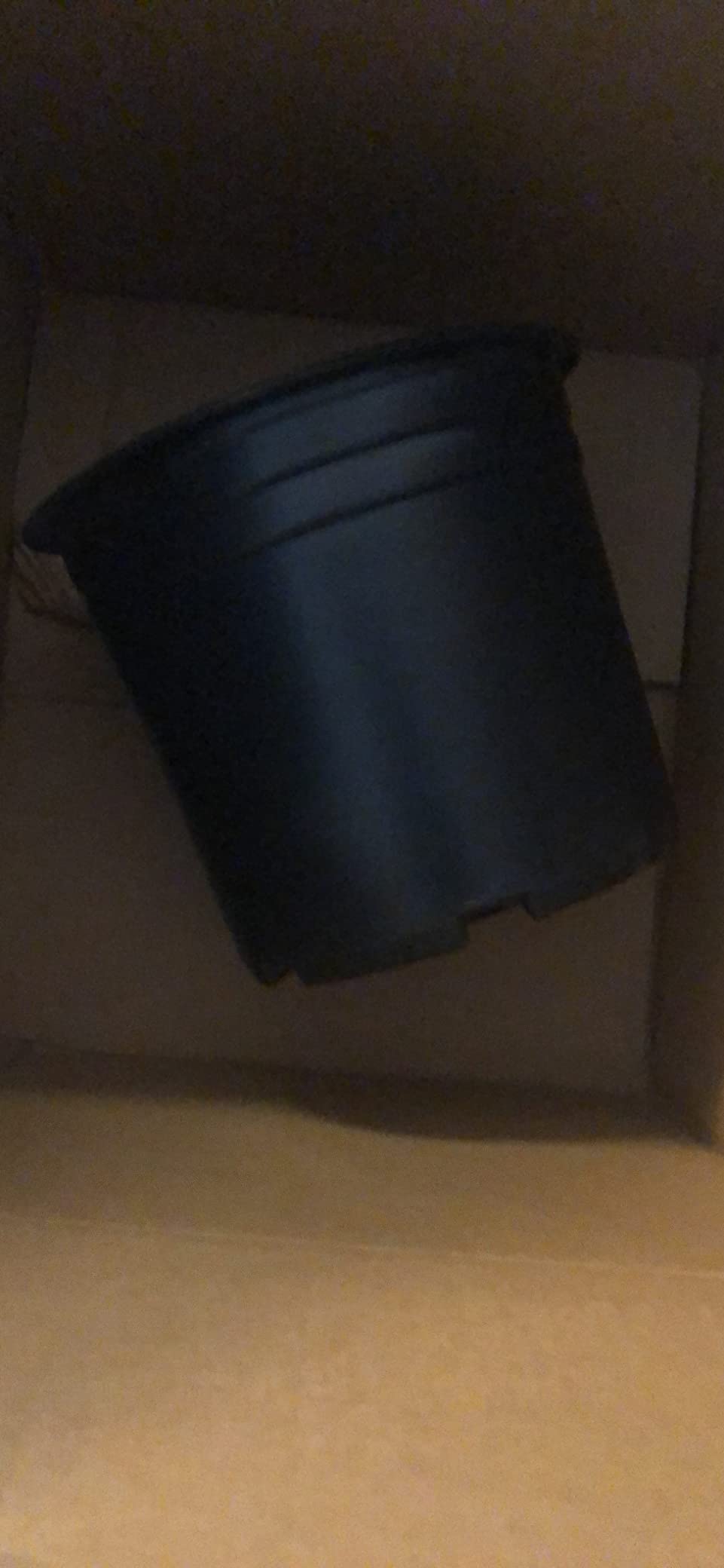 Hydrofarm RS5GALSYS Root Spa Deep Water Culture Bucket System, 5 Gallon, black customer photo 2