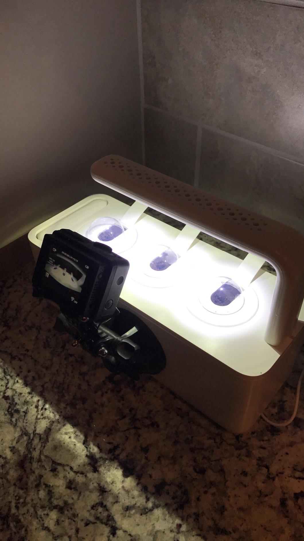 Click & Grow Indoor Herb Garden Kit with Grow Light | Smart Garden for Home Kitchen Windowsill | Easier Than Hydroponics Growing System | Vegetable Gardening Starter (3 Basil Pods Included), Grey customer photo 2