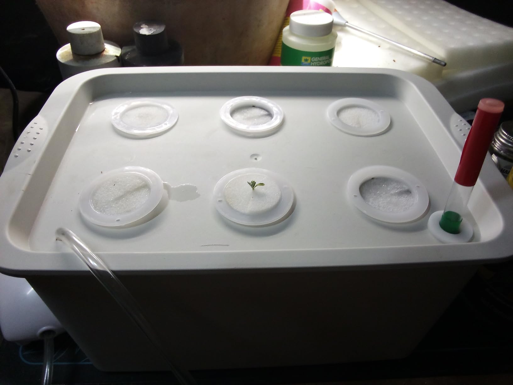 Hydroponics Grower Kit DIY Self Watering Indoor Hydroponics Tools Hydroponic System Planting Container Include Aquarium Air Pump Buoy Planting Box customer photo 1