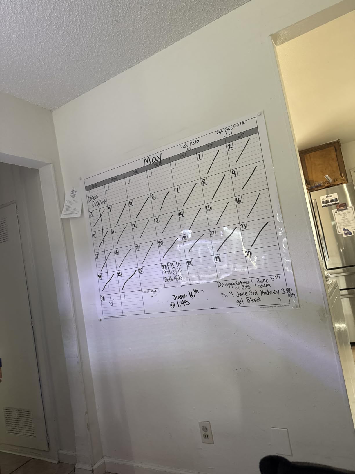Large Dry Erase Calendar for Wall, 38x50 customer photo 1