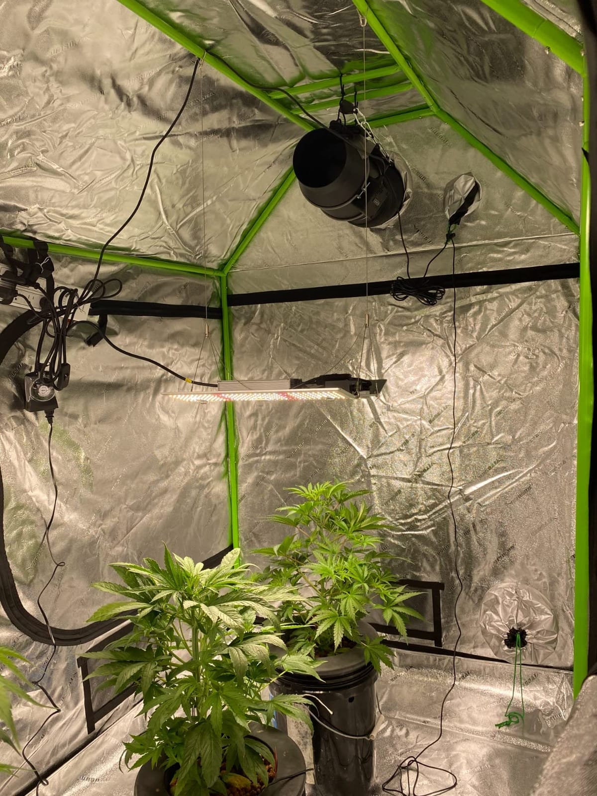 VIVOSUN S888 8x8 Large Grow Tent 96