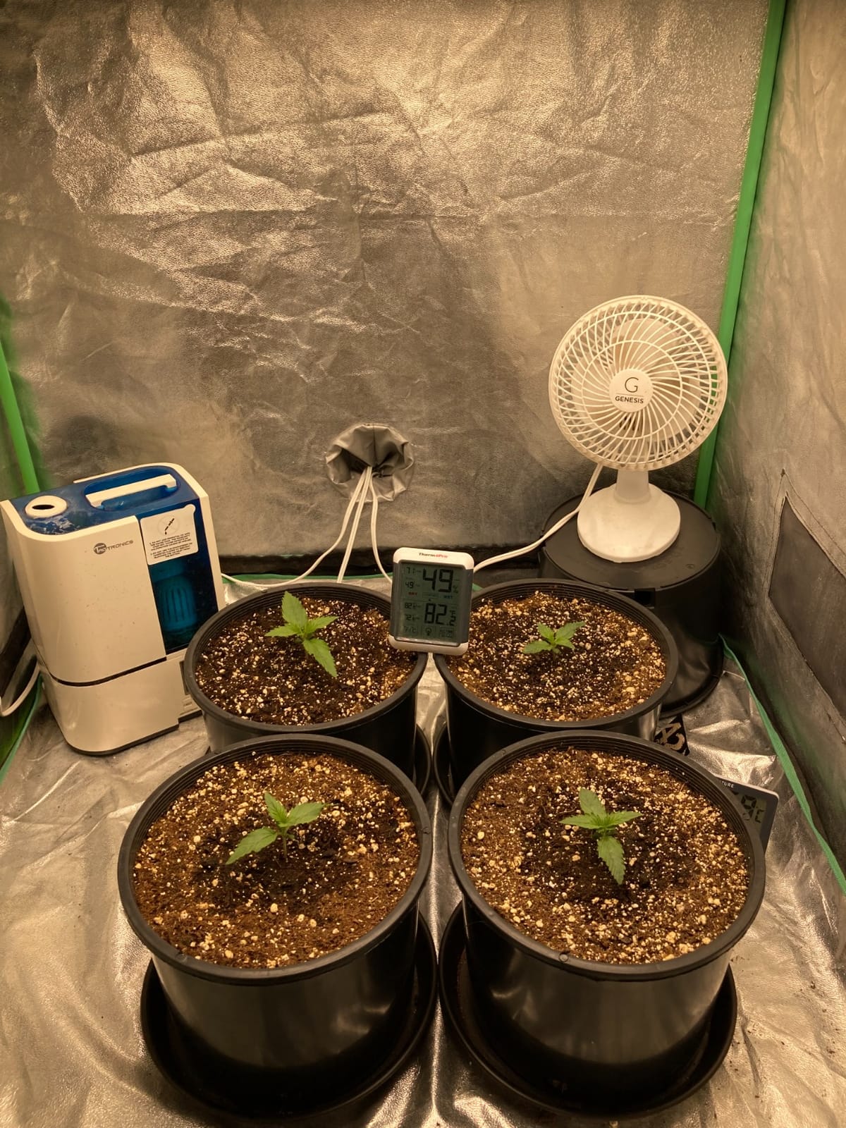 MARS HYDRO 420W TS3000 Led Grow Lights for Indoor Plants customer photo 2