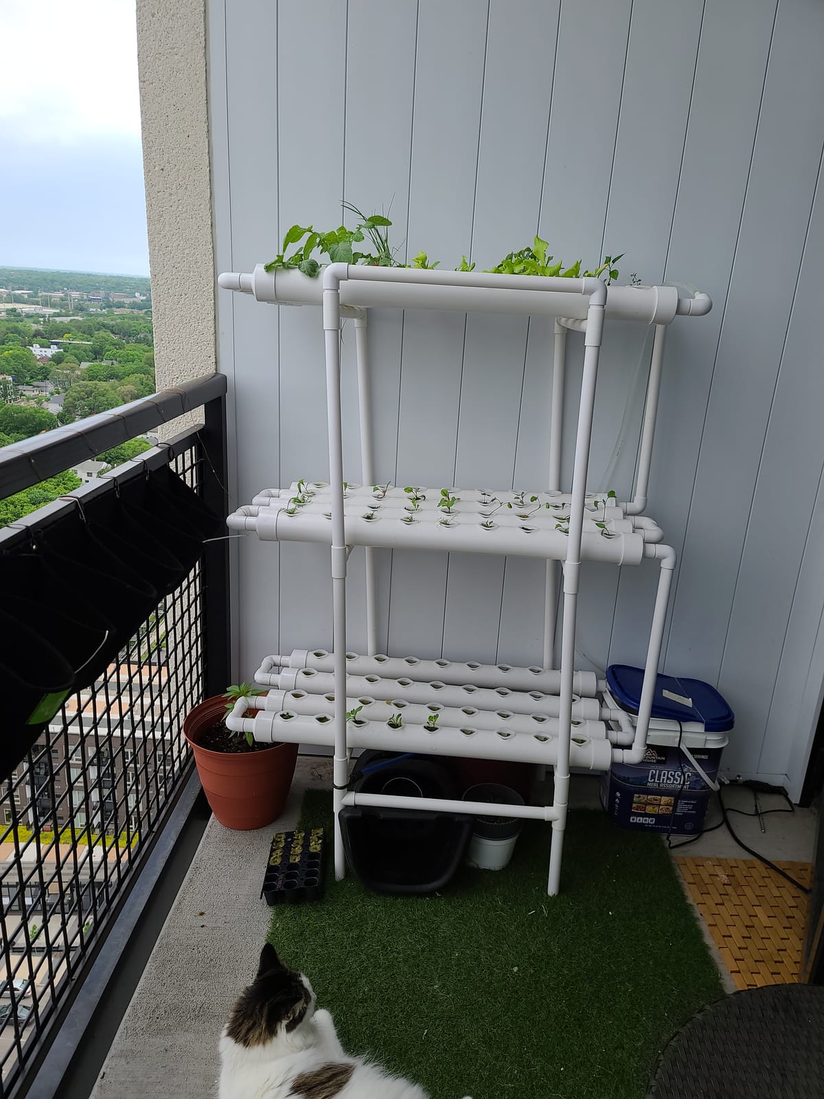 Hydroponic NFT 36 Holes Growing System with Special Fertilizer Timing Cycle, PVC Pipe Garden Plant Kit customer photo 2