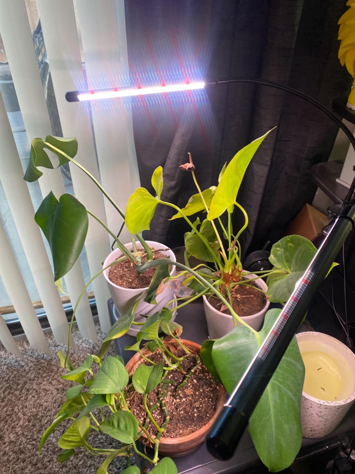 GHodec Grow Light,Full Spectrum White 84 LED Clip Indoor Plant Light customer photo 1