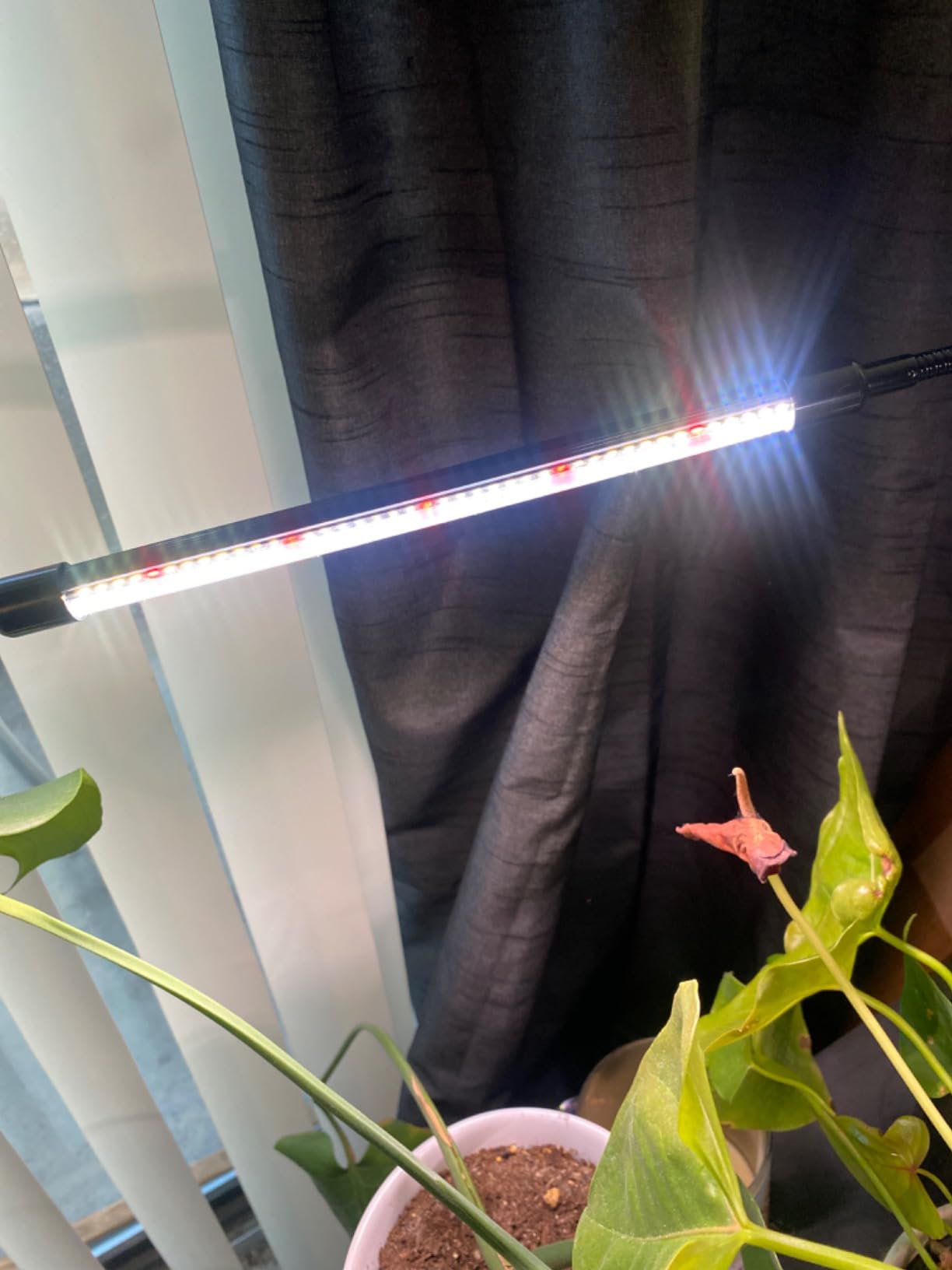 GHodec Grow Light,Full Spectrum White 84 LED Clip Indoor Plant Light customer photo 2